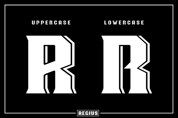 Regius Typeface in Display Fonts - product preview 10