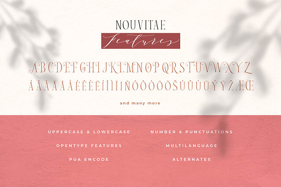 Nouvitae & Melika Letter | Font Pack in Serif Fonts - product preview 16