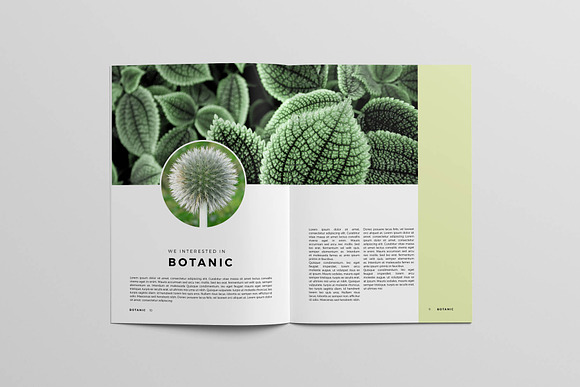 Botanic Magazine in Magazine Templates - product preview 4