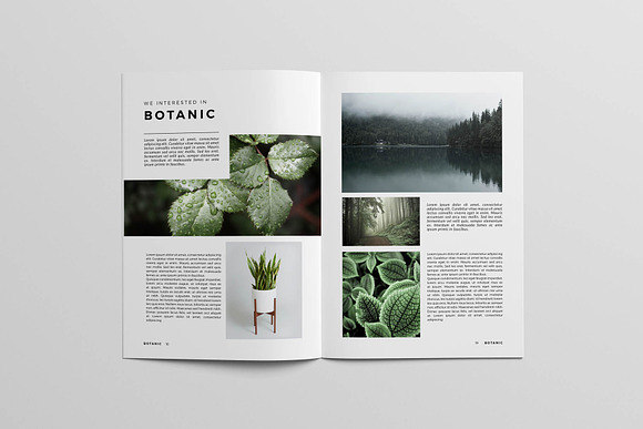 Botanic Magazine in Magazine Templates - product preview 9