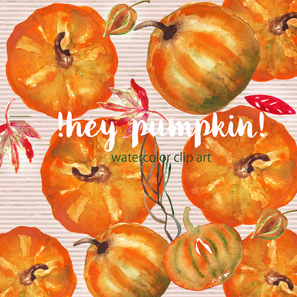 Pumkin. Watercolor Clip Art. in Illustrations - product preview 1