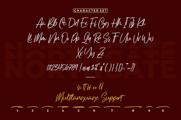 Northgate - Stylish Handwritten Font in Script Fonts - product preview 5