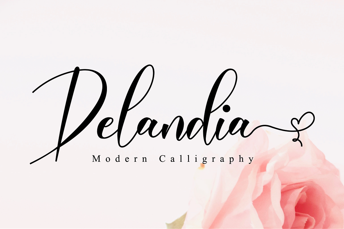 Delandia Script in Script Fonts - product preview 8