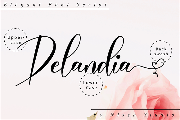 Delandia Script in Script Fonts - product preview 9