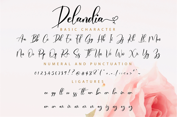 Delandia Script in Script Fonts - product preview 10