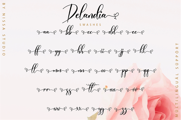 Delandia Script in Script Fonts - product preview 11
