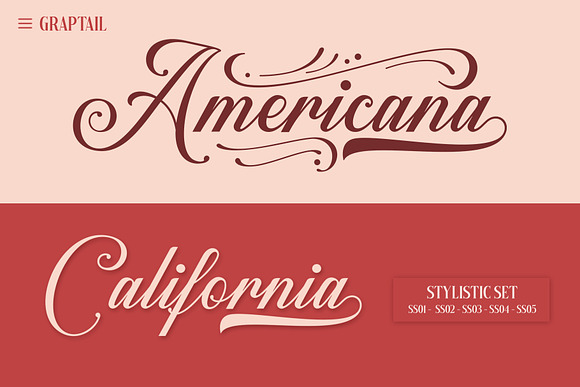 Arastin Font + Extras in Display Fonts - product preview 8