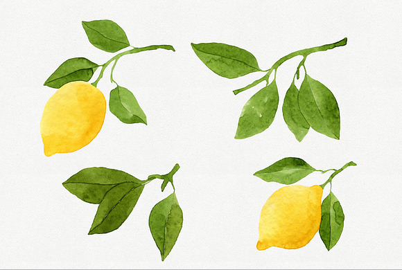 Watercolor Lemons Set in Illustrations - product preview 1