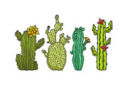Cactus plant set sketch engraving