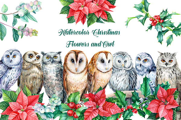 Watercolor christmas flowers and owl