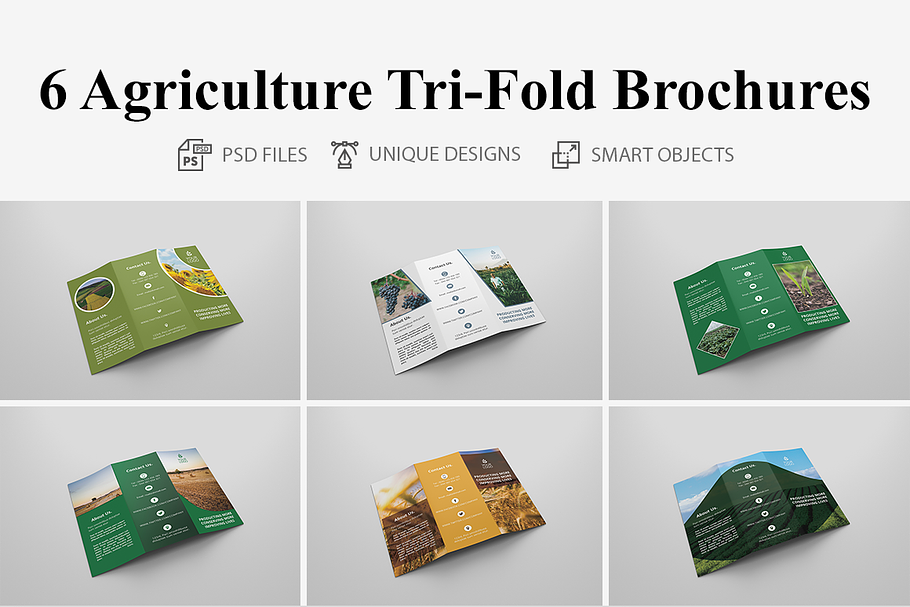 6 Agriculture Tri Fold Bochures in Brochure Templates - product preview 8