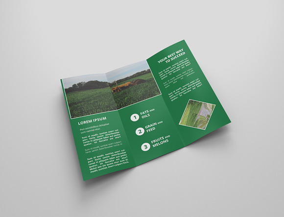 6 Agriculture Tri Fold Bochures in Brochure Templates - product preview 4