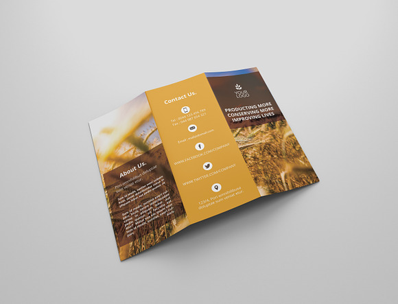 6 Agriculture Tri Fold Bochures in Brochure Templates - product preview 10