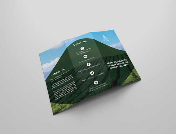 6 Agriculture Tri Fold Bochures in Brochure Templates - product preview 12