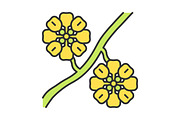 Whitestem paperflower color icon