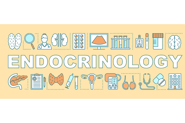 Endocrinology word concepts banner