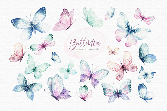 Butterflies and funny bugs set in Illustrations - product preview 1