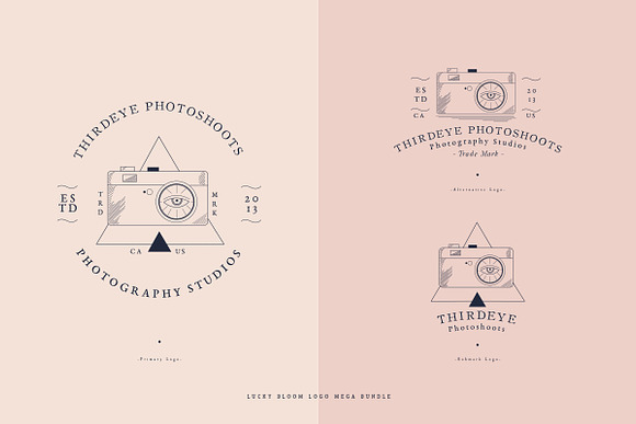 Lucky Bloom Logos in Logo Templates - product preview 38