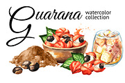 Guarana. Watercolor collection