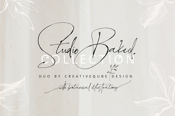 NEW Font Bundle by Creativeqube in Script Fonts - product preview 2