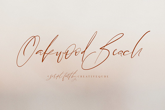 NEW Font Bundle by Creativeqube in Script Fonts - product preview 13