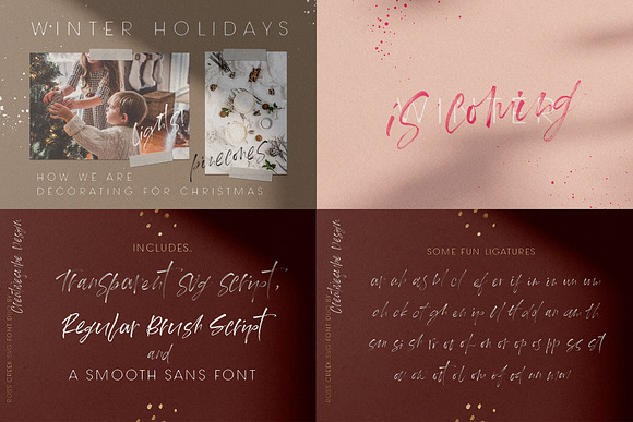 NEW Font Bundle by Creativeqube in Script Fonts - product preview 42