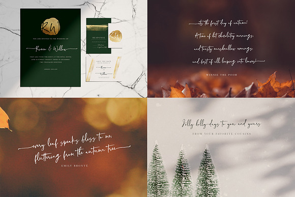 NEW Font Bundle by Creativeqube in Script Fonts - product preview 47