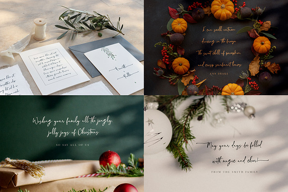 NEW Font Bundle by Creativeqube in Script Fonts - product preview 48