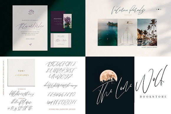 NEW Font Bundle by Creativeqube in Script Fonts - product preview 51
