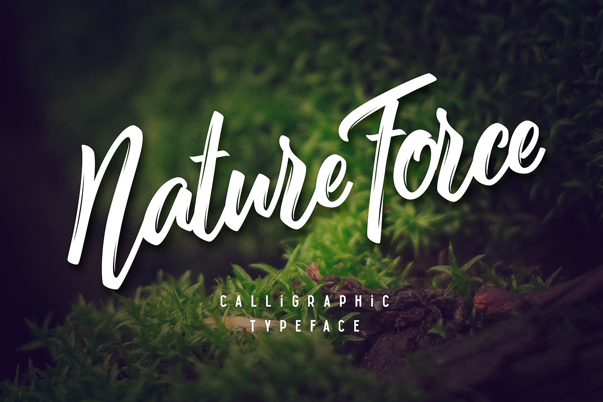 Nature Force script in Script Fonts - product preview 8