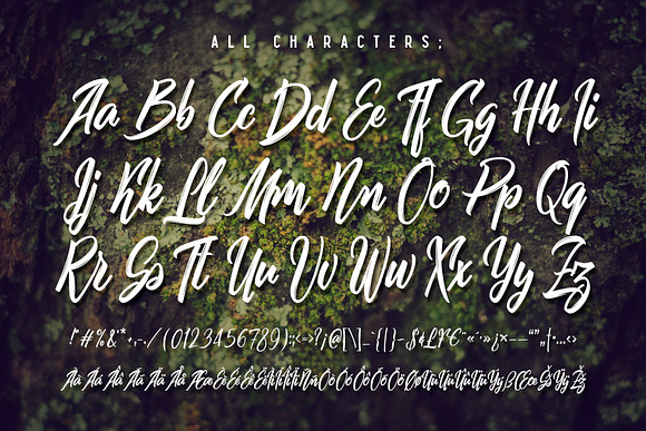 Nature Force script in Script Fonts - product preview 3