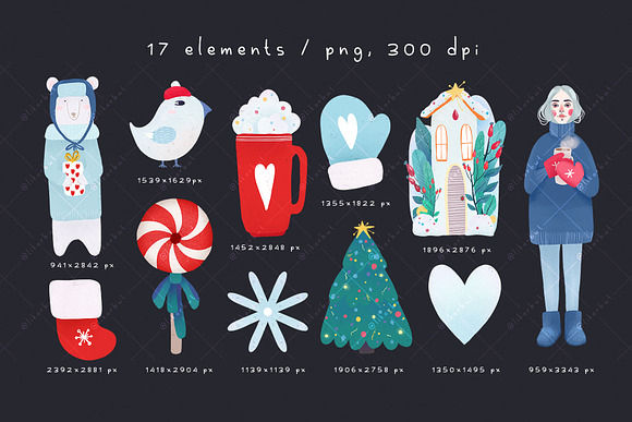 Winter Christmas Elements & Patterns in Illustrations - product preview 1