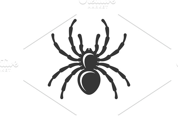 Black Spider Silhouette Icon on