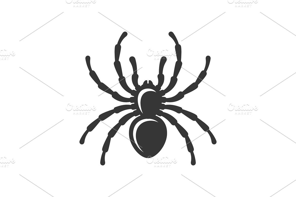 Black Spider Silhouette Icon on in Illustrations - product preview 8