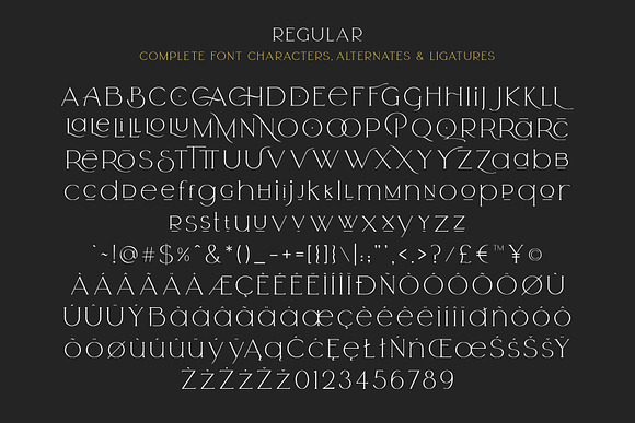 Arrogant Font in Serif Fonts - product preview 22