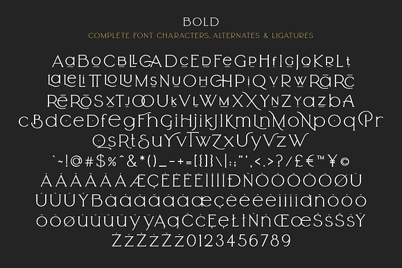 Arrogant Font in Serif Fonts - product preview 23