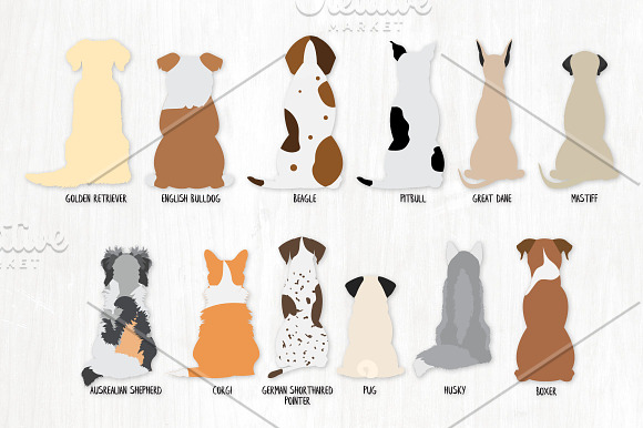 Sitting Dog Breeds - From Behind in Illustrations - product preview 1
