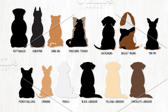 Sitting Dog Breeds - From Behind in Illustrations - product preview 2