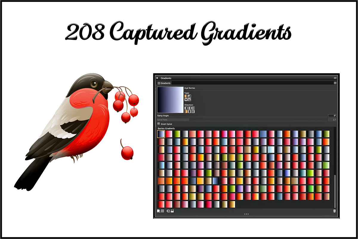 Corel Painter Berries Gradients in Add-Ons - product preview 8
