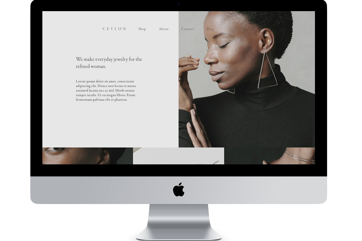 Ceylon – Squarespace 7.0 in WordPress Business Themes - product preview 8