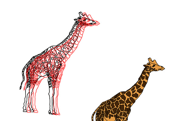 giraffes,illustration isolated