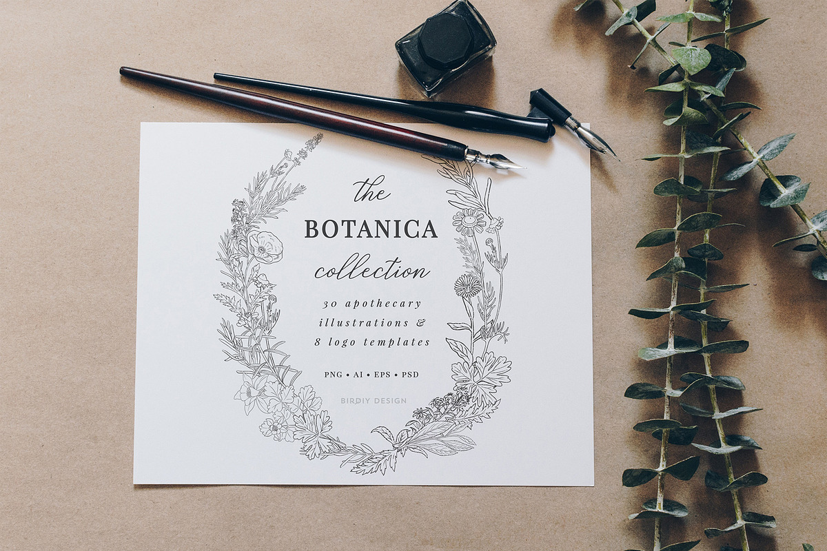 Botanical Apothecary Clipart & Logos in Illustrations - product preview 8