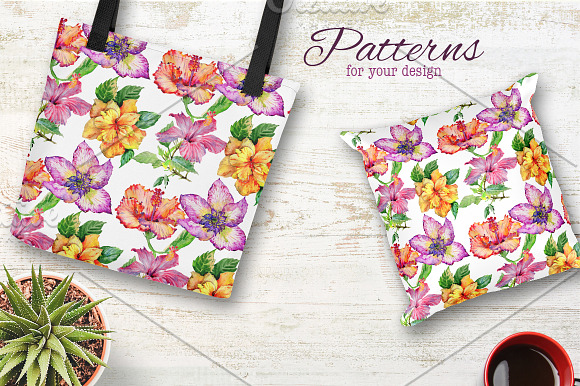 Hibiscus PNG watercolor flower set in Illustrations - product preview 1