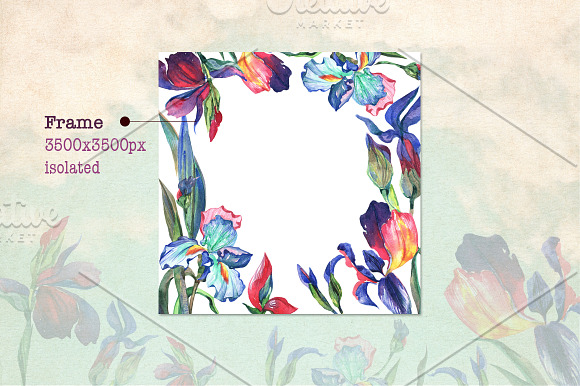 Irises PNG watercolor flower set in Illustrations - product preview 6