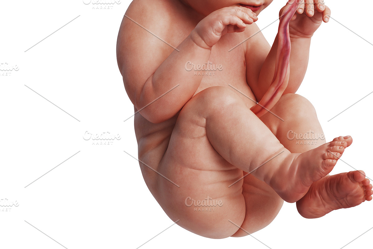 Embryo human fetus unborn, close in Objects - product preview 8