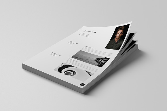 Pegasus Resume Template in Resume Templates - product preview 3