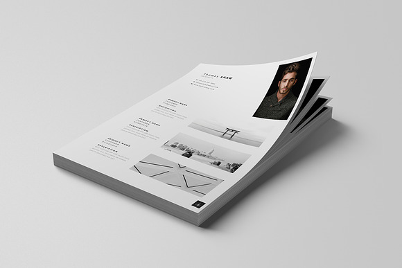 Pegasus Resume Template in Resume Templates - product preview 4