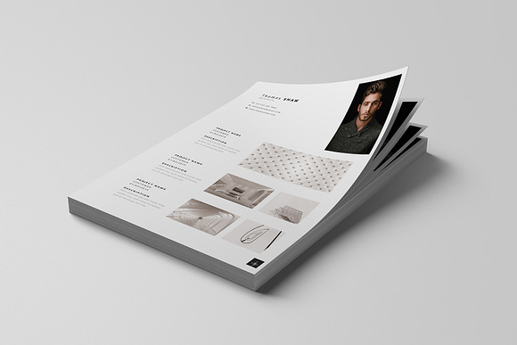 Pegasus Resume Template in Resume Templates - product preview 5