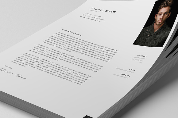 Pegasus Resume Template in Resume Templates - product preview 6