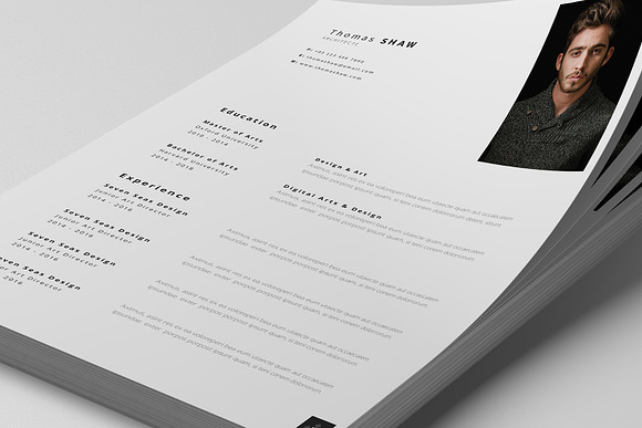 Pegasus Resume Template in Resume Templates - product preview 7